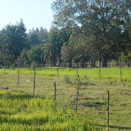 קולוניה דל סקרמנטו Casa De Campo Lo De Fatsia חדר תמונה